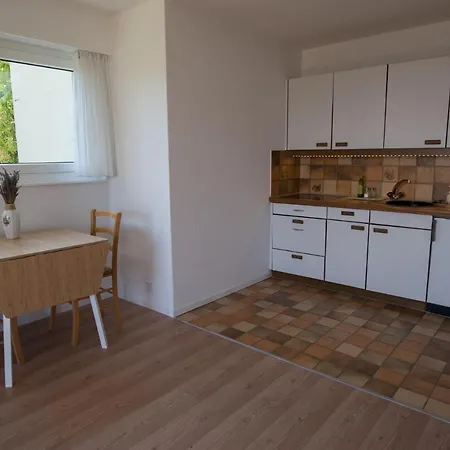 Apartman Les Deux Erables Jongny